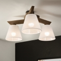 Brilagi - Bevestigde hanglamp ANTHONY 3xE14/40W/230V eiken/wit