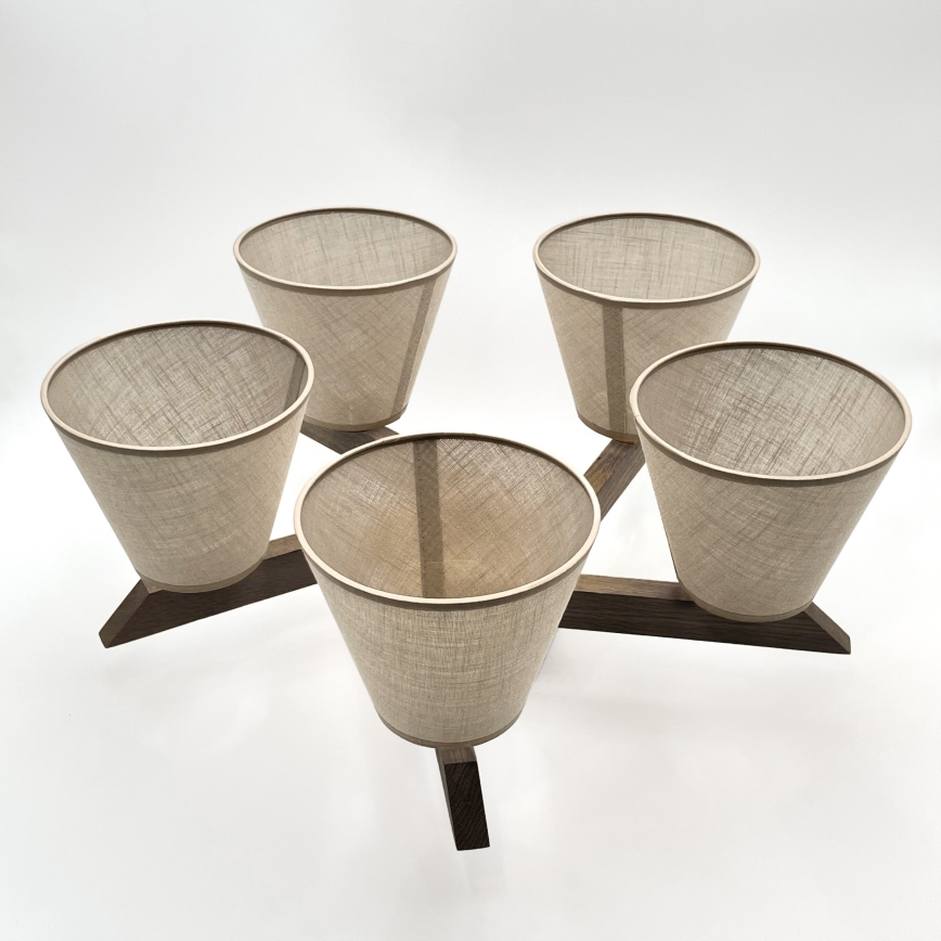 Brilagi - Bevestigde hanglamp ANTHONY 5xE14/40W/230V eiken/beige