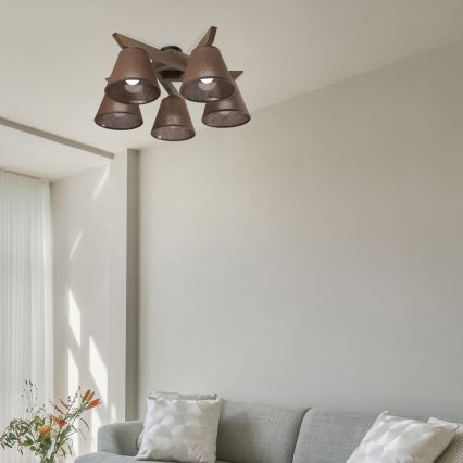 Brilagi - Bevestigde hanglamp ANTHONY 5xE14/40W/230V eiken/bruin