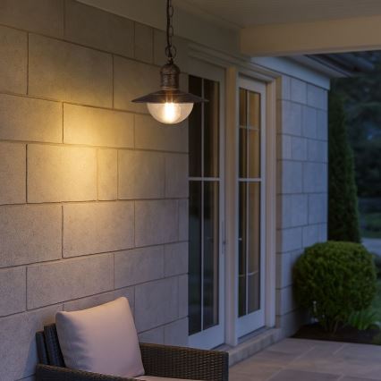 Brilagi - Buitenhanglamp MOLDE 1xE27/60W IP44 brons/patina