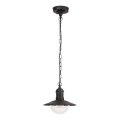 Brilagi - Buitenhanglamp MOLDE 1xE27/60W IP44 zwart