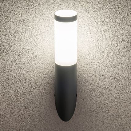 BRILAGI - Buitenmuurlamp ELIA 1xE27/20W/230V IP44 antraciet
