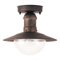 Brilagi - Buitenplafondlamp MOLDE 1xE27/60W IP44 brons/patina
