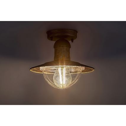 Brilagi - Buitenplafondlamp MOLDE 1xE27/60W IP44 brons/patina