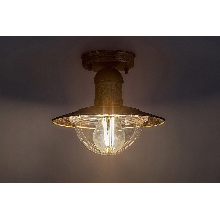 Brilagi - Buitenplafondlamp MOLDE 1xE27/60W IP44 brons/patina
