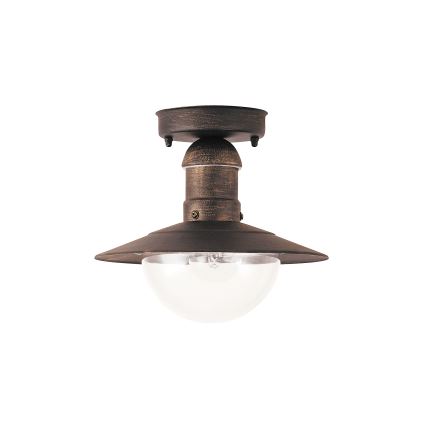 Brilagi - Buitenplafondlamp MOLDE 1xE27/60W IP44 brons/patina