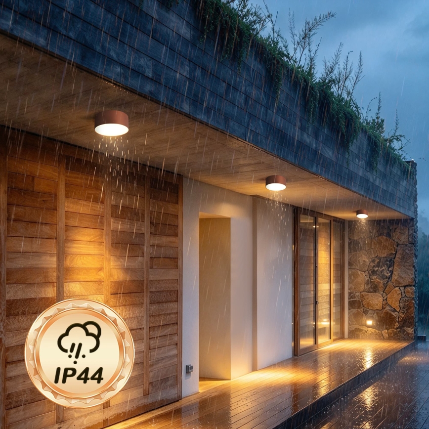 BRILAGI - Buitenplafonnière FORIS LED/20W/230V Ø 15 cm bronskleurig IP44