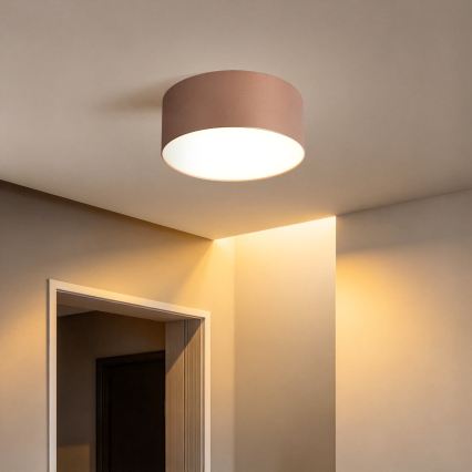 BRILAGI - Buitenplafonnière FORIS LED/20W/230V Ø 15 cm bronskleurig IP44