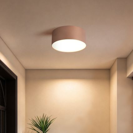 BRILAGI - Buitenplafonnière FORIS LED/20W/230V Ø 15 cm bronskleurig IP44
