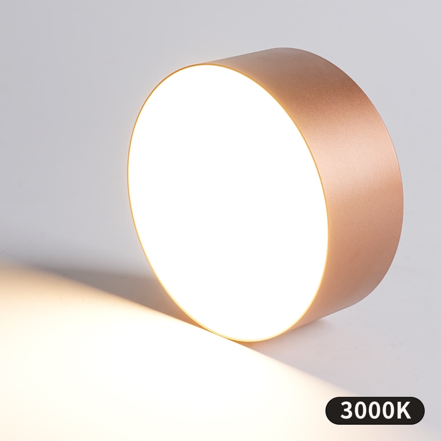 BRILAGI - Buitenplafonnière FORIS LED/20W/230V Ø 15 cm bronskleurig IP44