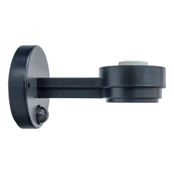BRILAGI - Buitenwandarm met bewegings- en schemersensor HARBOR ISLAND 1xE27/40W/230V 20 cm IP33 zwart