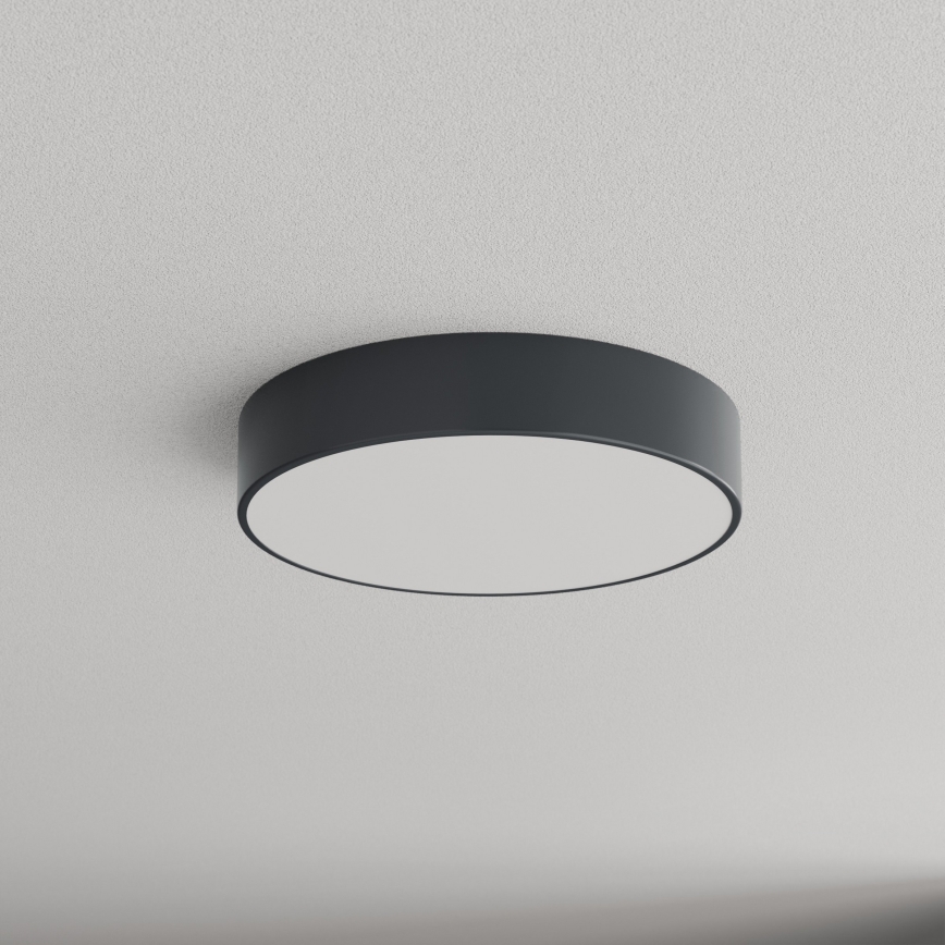 Brilagi - Plafondlamp CLARE voor badkamer 3xE27/24W/230V Ø 40 cm antraciet IP54