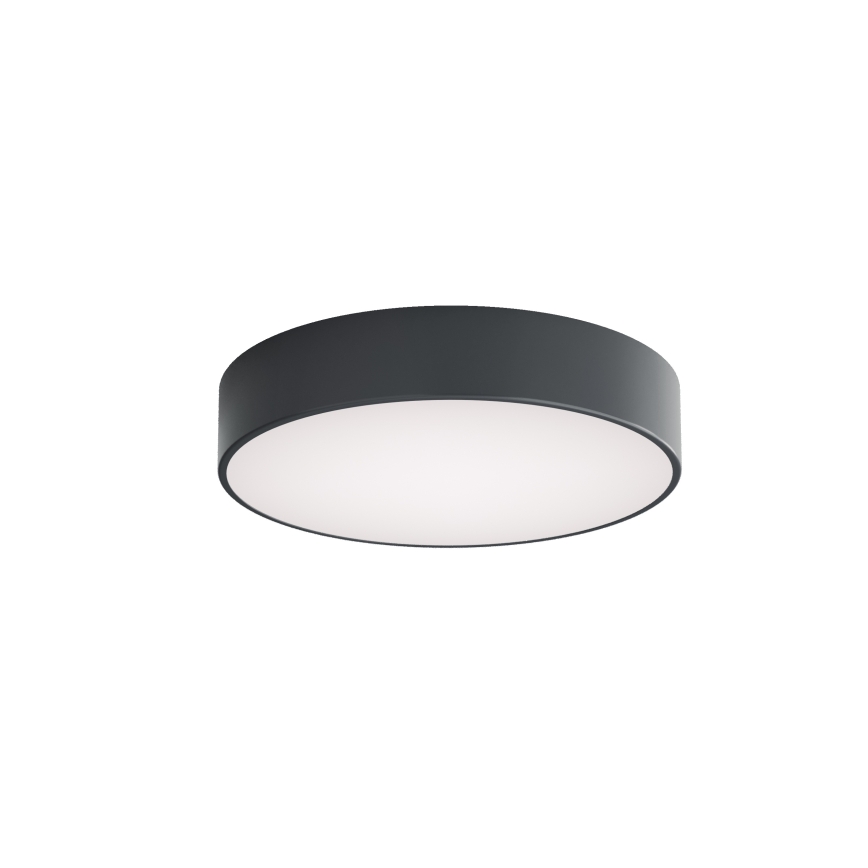 Brilagi - Plafondlamp CLARE voor badkamer 3xE27/24W/230V Ø 40 cm antraciet IP54