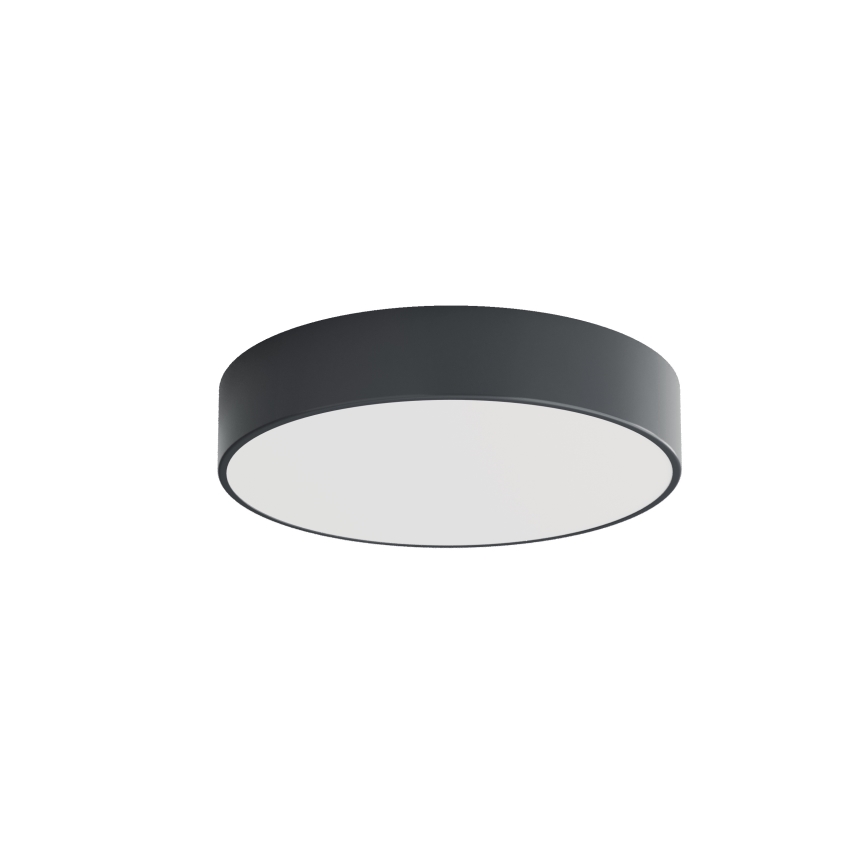 Brilagi - Plafondlamp CLARE voor badkamer 3xE27/24W/230V Ø 40 cm antraciet IP54