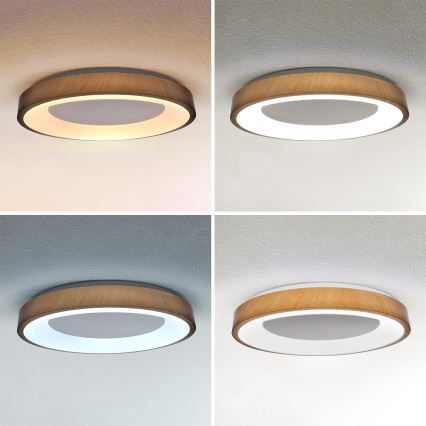 Brilagi - DORIA dimbare LED-plafondlamp LED/60W/230V 3000-6500K Ø 60 cm + afstandsbediening