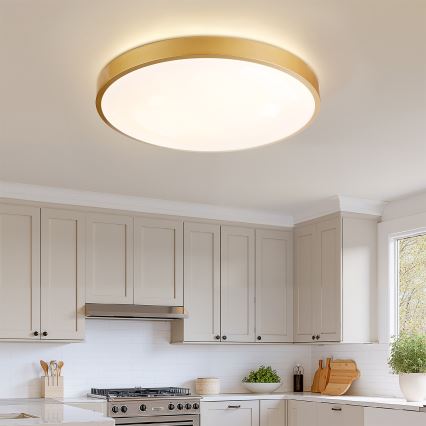 Brilagi - LED dimbare plafondlamp GLASS POOL DOUBLE LED/80W/230V 3000-6000K 60 cm goud + afstandsbediening