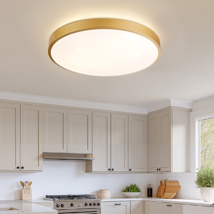 Brilagi - LED dimbare plafondlamp GLASS POOL DOUBLE LED/80W/230V 3000-6000K 60 cm goud + afstandsbediening