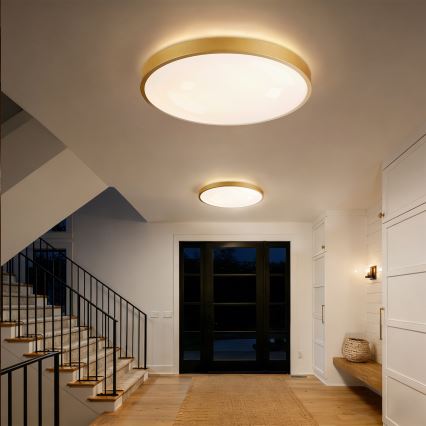 Brilagi - LED dimbare plafondlamp GLASS POOL DOUBLE LED/80W/230V 3000-6000K 60 cm goud + afstandsbediening