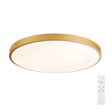 Brilagi - LED dimbare plafondlamp GLASS POOL DOUBLE LED/80W/230V 3000-6000K 60 cm goud + afstandsbediening