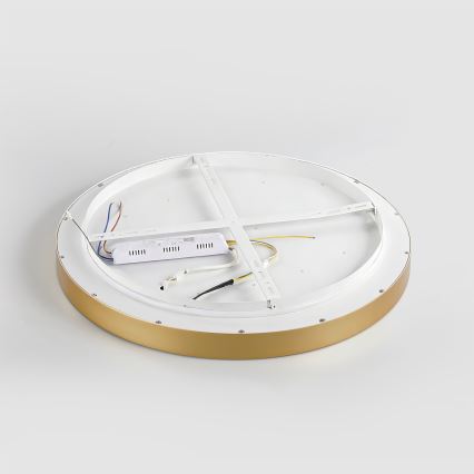 Brilagi - LED dimbare plafondlamp GLASS POOL DOUBLE LED/80W/230V 3000-6000K 60 cm goud + afstandsbediening