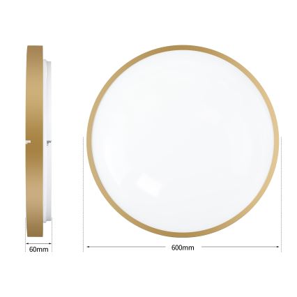 Brilagi - LED dimbare plafondlamp GLASS POOL DOUBLE LED/80W/230V 3000-6000K 60 cm goud + afstandsbediening