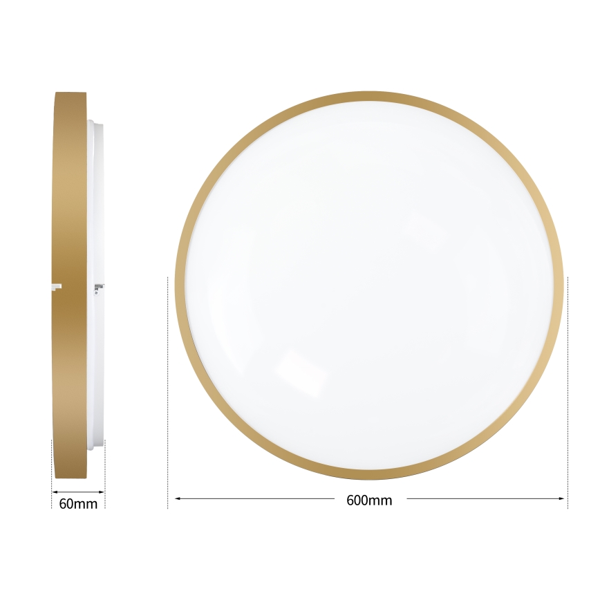 Brilagi - LED dimbare plafondlamp GLASS POOL DOUBLE LED/80W/230V 3000-6000K 60 cm goud + afstandsbediening