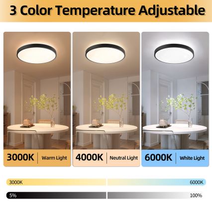 Brilagi - Dimbare LED-plafondlamp GLASS POOL DOUBLE LED/80W/230V 3000-6000K 60 cm zwart + afstandsbediening