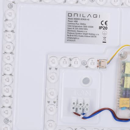 Brilagi - LED dimbare plafondlamp NAOMI LED/48W/230V 3000-6500K Ø 39 cm zwart + afstandsbediening