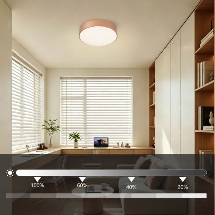 BRILAGI - Dimbare LED-plafondlamp POOL LED/24W/230V 3000-6000K Ø 20 cm koperen + afstandsbediening