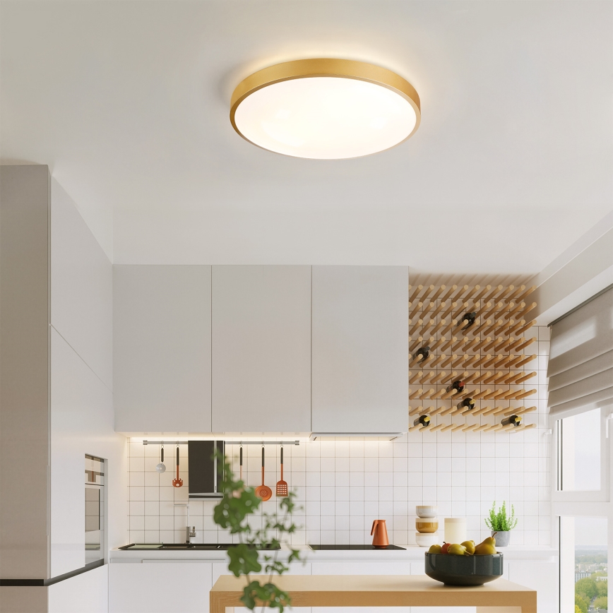 Brilagi - dimbare LED-plafondlamp GLASS POOL DOUBLE LED/48W/230V 3000-6000K 40 cm goudkleurig + afstandsbediening