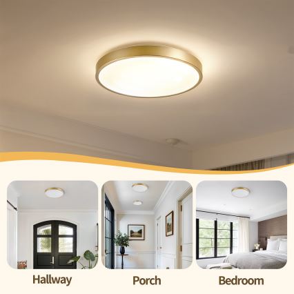 Brilagi - dimbare LED-plafondlamp GLASS POOL DOUBLE LED/48W/230V 3000-6000K 40 cm goudkleurig + afstandsbediening