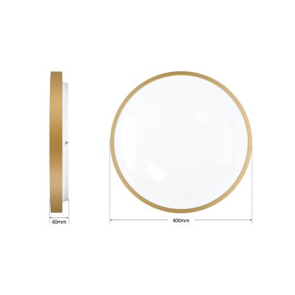 Brilagi - dimbare LED-plafondlamp GLASS POOL DOUBLE LED/48W/230V 3000-6000K 40 cm goudkleurig + afstandsbediening