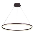Brilagi - Dimbare hanglamp aan kabel CIRCLE LED/55W/230V 3000-6500K Ø 80 cm bruin + afstandsbediening