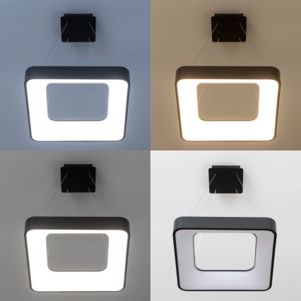 Brilagi - LED dimbare hanglamp met kabel FALCON II LED/80W/230V 3000-6500K 40x40 cm zwart + afstandsbediening