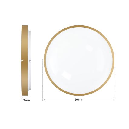 Brilagi - Dimbare LED-plafondlamp GLASS POOL DOUBLE LED/60W/230V 3000-6000K 50 cm goudkleurig + afstandsbediening