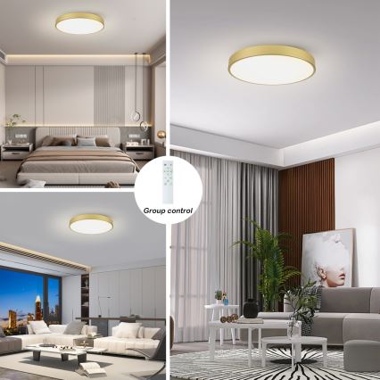 Brilagi - Dimbare LED-plafondlamp POOL SMART LED/100W/230V 3000–6000K 80 cm goud Wi-Fi Tuya + afstandsbediening