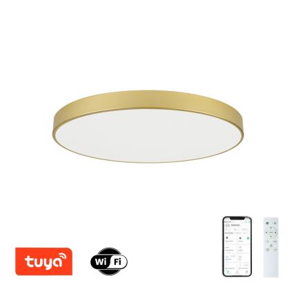 Brilagi - Dimbare LED-plafondlamp POOL SMART LED/100W/230V 3000–6000K 80 cm goud Wi-Fi Tuya + afstandsbediening