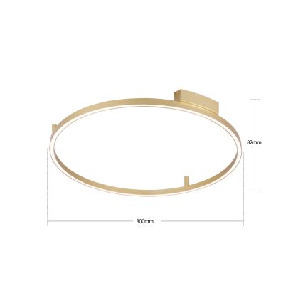 Brilagi - LED-dimbare plafondlamp PORTOFINO LED/60W/230V 3000-6000K Ø 80 cm goudkleurig + afstandsbediening