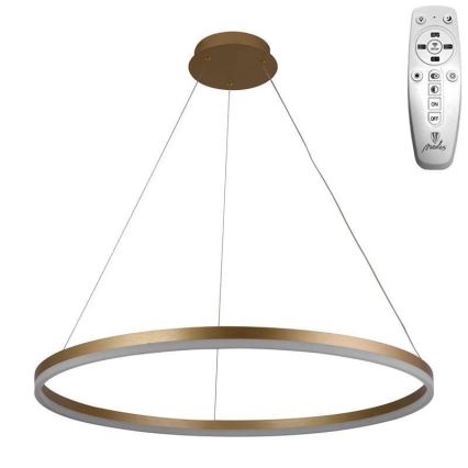 Brilagi - Dimbare LED hanglamp aan een koord CIRCLE LED/55W/230V 3000-6500K goud + afstandsbediening