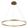Brilagi - Dimbare LED hanglamp aan een koord CIRCLE LED/55W/230V 3000-6500K goud + afstandsbediening
