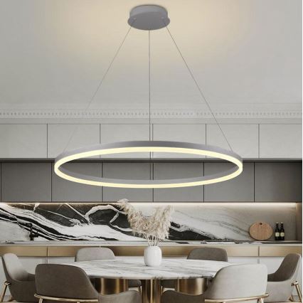 Brilagi - Dimbare LED hanglamp aan een koord CIRCLE LED/55W/230V 3000-6500K zilver + afstandsbediening