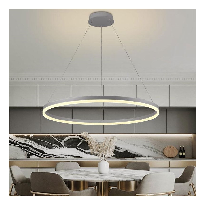 Brilagi - Dimbare LED hanglamp aan een koord CIRCLE LED/55W/230V 3000-6500K zilver + afstandsbediening