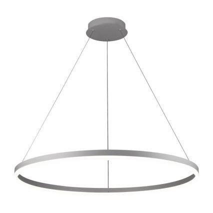 Brilagi - Dimbare LED hanglamp aan een koord CIRCLE LED/55W/230V 3000-6500K zilver + afstandsbediening