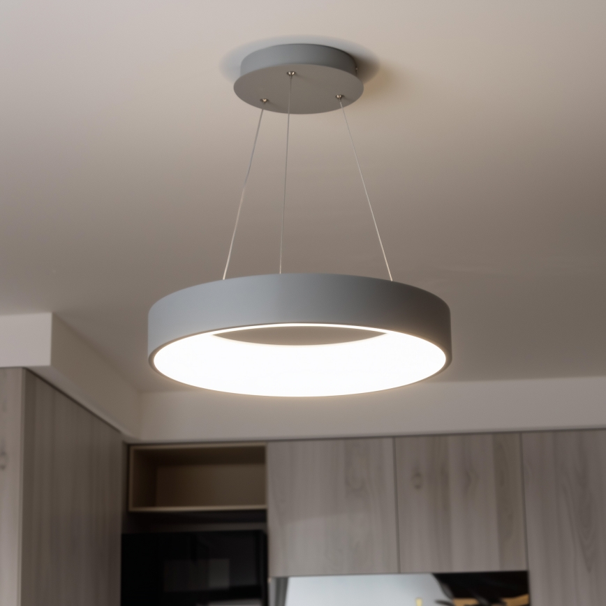 Brilagi - Dimbare LED Hanglamp aan een koord FALCON LED/80W/230V 3000-6500K grijs + afstandsbediening