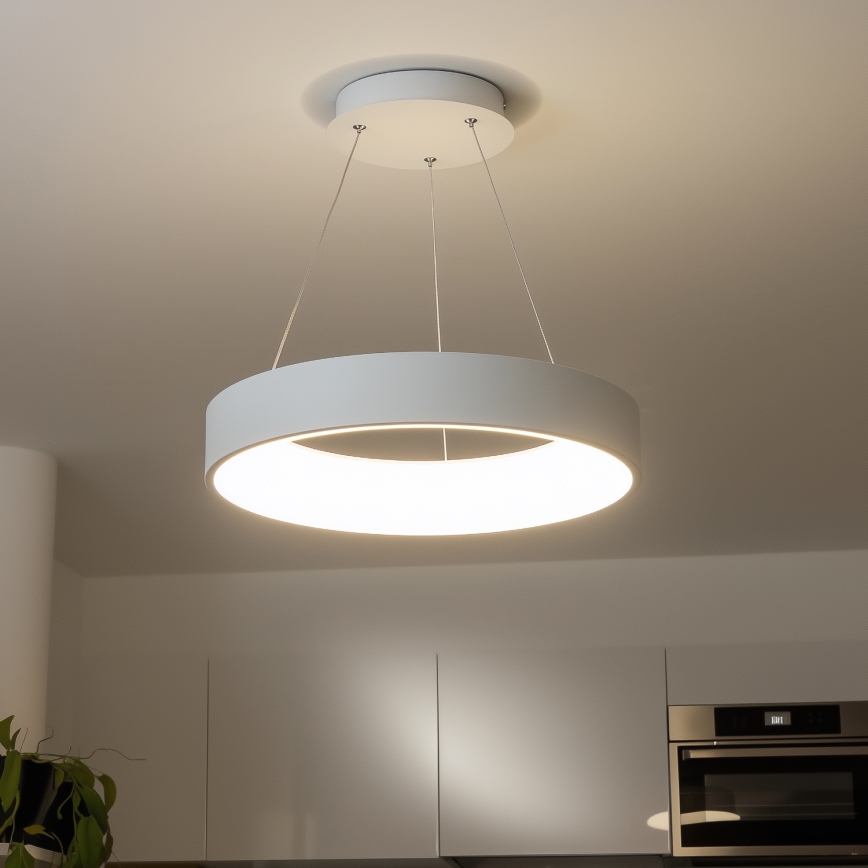 Brilagi - Dimbare LED Hanglamp aan een koord FALCON LED/80W/230V 3000-6500K wit + afstandsbediening