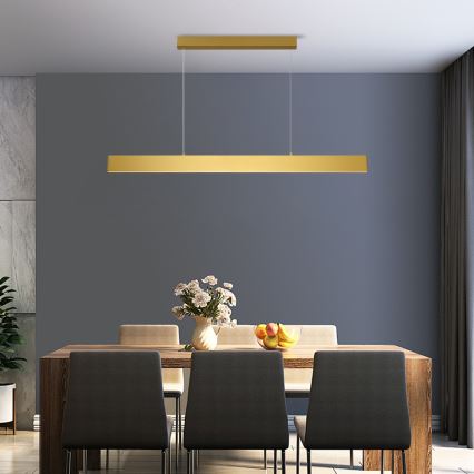Brilagi - Dimbare LED hanglamp aan een koord SLIMLINE LED/40W/230V 3000-6000K goud + afstandsbediening