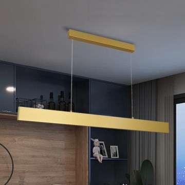 Brilagi - Dimbare LED hanglamp aan een koord SLIMLINE LED/40W/230V 3000-6000K goud + afstandsbediening