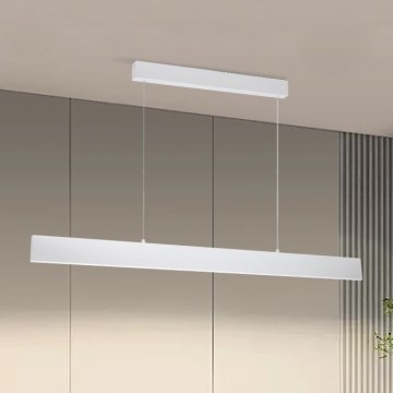 Brilagi - Dimbare LED hanglamp aan een koord SLIMLINE LED/40W/230V 3000-6000K wit + afstandsbediening