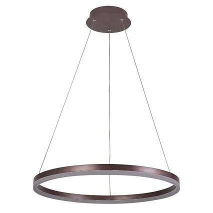 Brilagi - Dimbare LED-hanglamp aan kabel CIRCLE LED/42W/230V 3000-6500K Ø 60 cm bruin + afstandsbediening