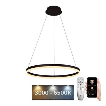 Brilagi - dimbare LED-hanglamp aan kabel CIRCLE LED/42W/230V 3000-6500K Ø 60 cm + afstandsbediening